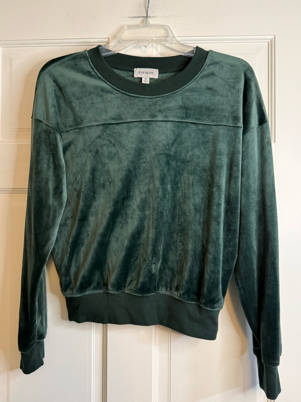 Evereve Plush Velvet Crewneck Sweatshirt